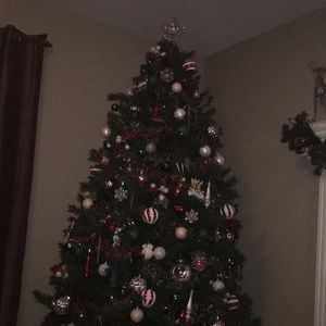 Meet your Posher, Susanna